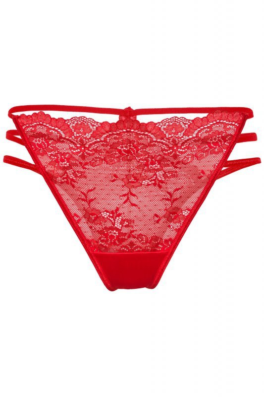 Róża Figi Cyria czerwone