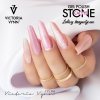 Gel Polish CAT EYE Victoria Vynn 270