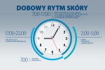 Rytm dobowy skóry