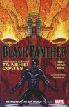 BLACK PANTHER VOL 04 AVENGERS OF THE NEW WORLD PART 1 TP [9781302906498] **promocja TOMY**
