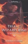 TRAIL OF THE WIZARD KING VOL 02 TP [9781506716282]
