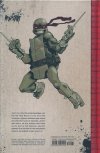 TEENAGE MUTANT NINJA TURTLES THE IDW COLLECTION VOL 01 HC [9781631401114]