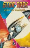 STAR TREK VOL 05 WHEN THE WALLS FELL TP [9798887243573]