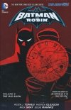 BATMAN AND ROBIN VOL 05 THE BIG BURN HC [9781401250591]