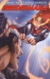IRREDEEMABLE VOL 09 TP [9781608860838]