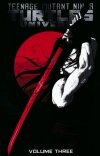 TEENAGE MUTANT NINJA TURTLES UNIVERSE VOL 03 KARAIS PATH TP [9781684051465]