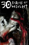 30 DAYS OF NIGHT VOL 02 BLOOD-STAINED LOOKING GLASS SC [9781613773444]