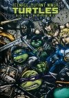TEENAGE MUTANT NINJA TURTLES 2014 ANNUAL DELUXE EDITION HC [9781631404719] **promocja TOMY**