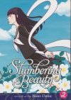 SLUMBERING BEAUTY VOL 02 TP [9781626926967]