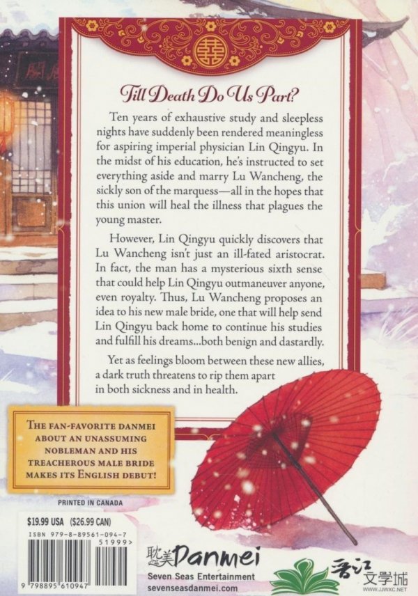 THRICE MARRIED TO A SALTED FISH NOVEL VOL 01 TP [9798895610947]