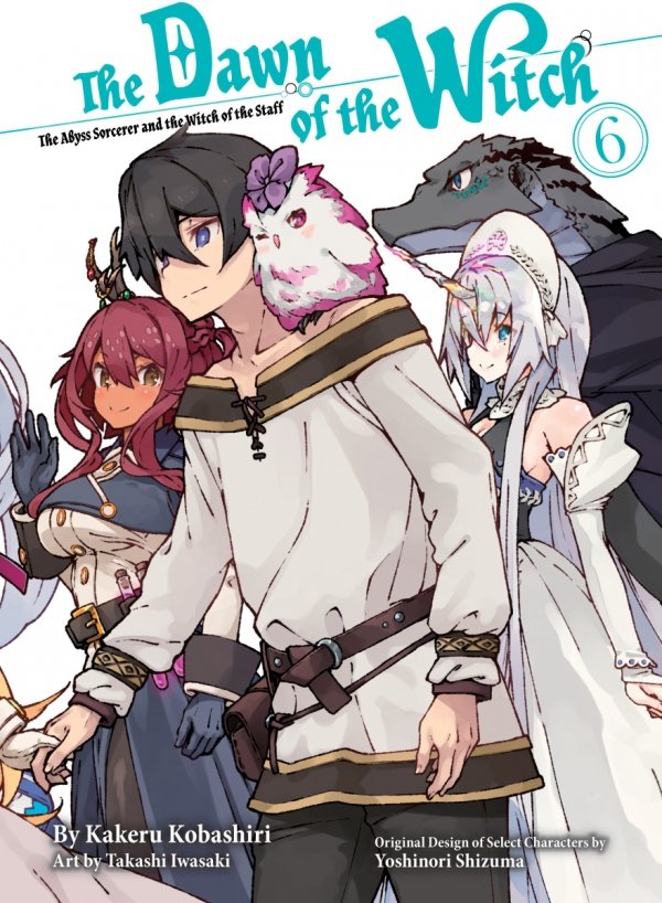 DAWN OF THE WITCH LIGHT NOVEL VOL 06 TP [9781647293482]