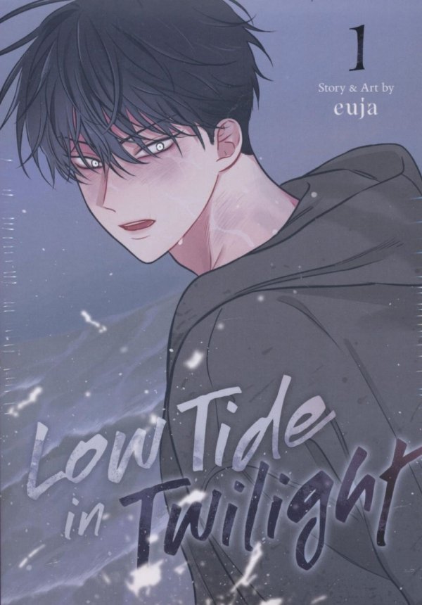 LOW TIDE IN TWILIGHT VOL 01 TP [9798895616499]