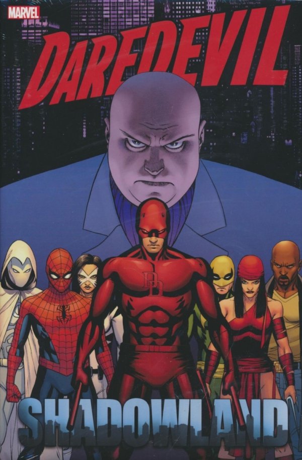 DAREDEVIL SHADOWLAND OMNIBUS HC [STANDARD] [9781302957780]