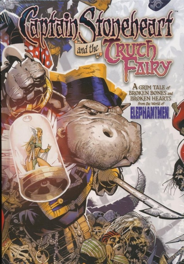 CAPTAIN STONEHEART AND THE TRUTH FAIRY HC [9781582408651]
