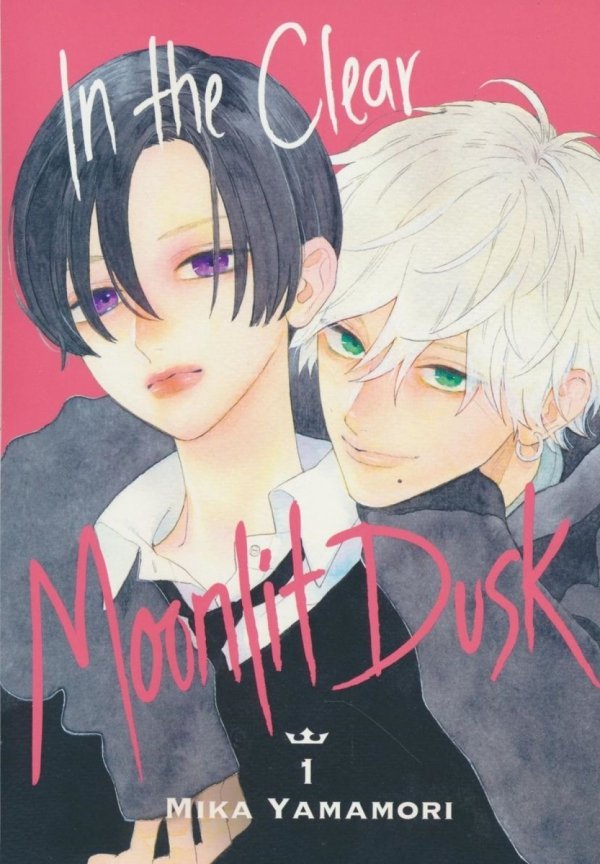 IN THE CLEAR MOONLIT DUSK VOL 01 TP [9781646514946]