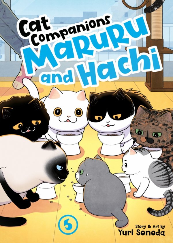 CAT COMPANIONS MARURU AND HACHI VOL 05 TP [9798893735857]
