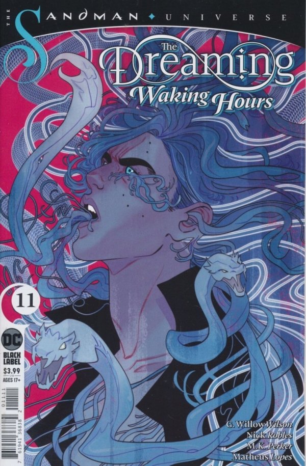 DREAMING WAKING HOURS #11 CVR A [76194136838201111]