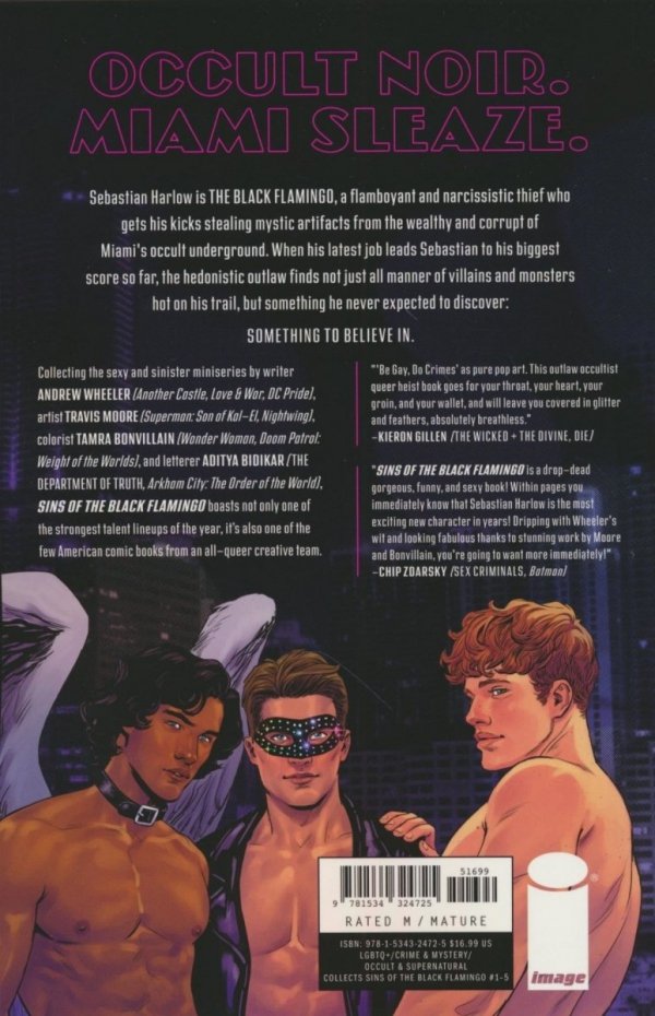 SINS OF THE BLACK FLAMINGO TP [9781534324725] **promocja TOMY**