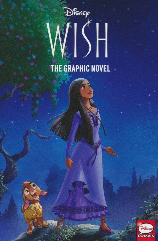 DISNEY WISH GN [9780736444354]