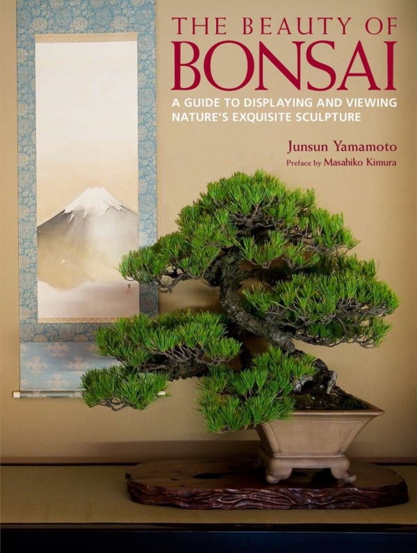 BEAUTY OF BONSAI A GUIDE TO DISPLAYING AND VIEWING NATURES EXQUISITE SCULPTURE HC [9784770031266]