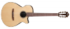 Gitara elektro-klasyczna IBANEZ AEG50N-NT