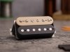 TONERIDER RockSong (ZB, neck)