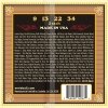 Struny do mandoliny ERNIE BALL 2067 (9-34)