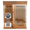 Struny ERNIE BALL 2143 Phosphor Bronze (12,5-56)