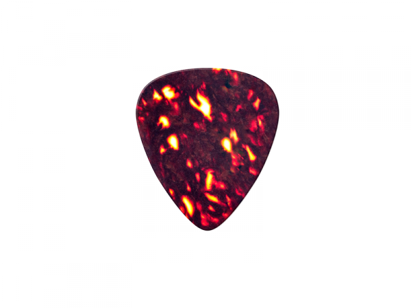 Kostki DUNLOP Celluloid Classic Shell Medium