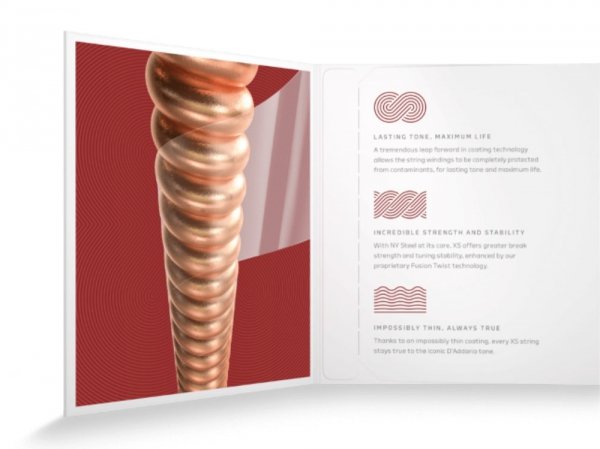 Struny D'ADDARIO XSA Phosphor Bronze (13-53)