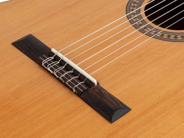 Gitara elektro-klasyczna SALVADOR CORTEZ CC-22CE