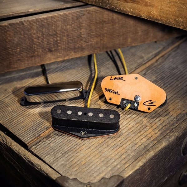 LOLLAR Special T Series (N, neck)