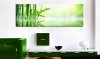 Obraz - Zielony bambus