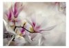Fototapeta - Subtelne magnolie - trzeci wariant