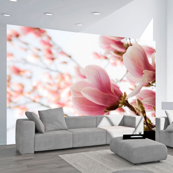Fototapeta - Różowa magnolia