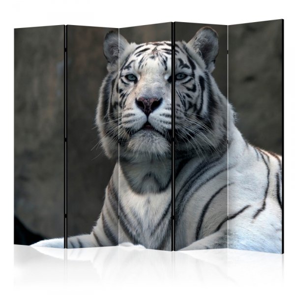 Parawan 5-częściowy - Tygrys bengalski w zoo II [Room Dividers]