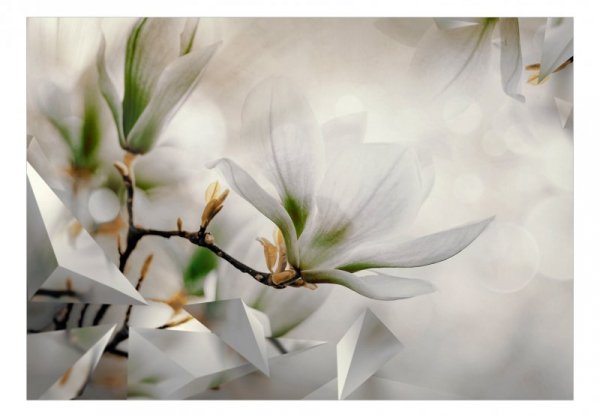 Fototapeta - Subtelne magnolie - drugi wariant