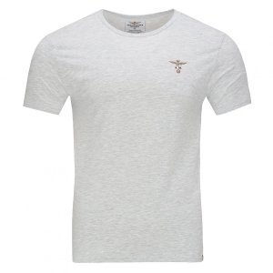Aeronautica Militare t-shirt koszulka c-neck męska szara