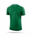 Koszulka Nike Y NK Dry Chalang II JSY SS 894053 341 zielony S (128-137cm)