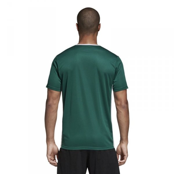 Koszulka adidas Entrada 18 JSY CD8358 zielony XL