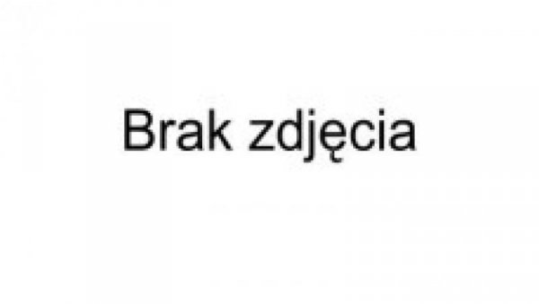 Przełącznik KVM VGA/USB 2x1 2-Portowy z Audio