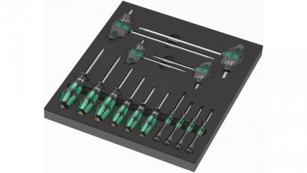WKŁADKA PIANKOWA Z WKRĘTAKAMI DO ŚRUB I WKRĘTÓW TORX 14CZ,