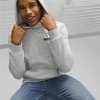 Bluza z kapturem Męska Puma Ess+ 2 Col Small Log