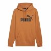 Bluza z kapturem Męska Puma Essentials Big Logo Hoodie Fl