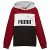 Bluza z kapturem Dziecięca Puma Essentials Block