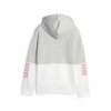 Bluza dziecięca Puma Power Colorblock Szary