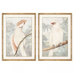 Obraz DKD Home Decor Papuga Tropikalny 50 x 3 x 70 cm (2 Sztuk)
