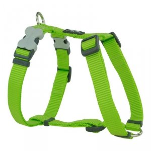 Szelki dla psa Red Dingo Gładki 25-39 cm Limonka