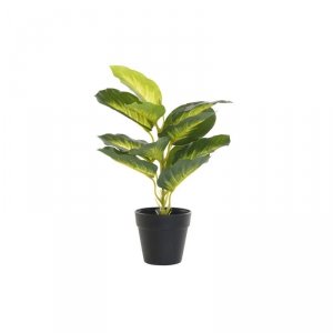 Roślina Dekoracyjna DKD Home Decor PVC polipropylen 25 x 25 x 30 cm
