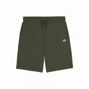 Szorty sportowe Dickies Mapleton Zielony wojskowy Oliwka